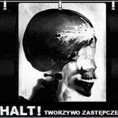 Tworzywo Zastępcze