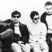 The Lightning Seeds_4.JPG