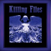 Killing flies