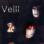 Veill.png