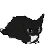 Avatar for sensaciomeow