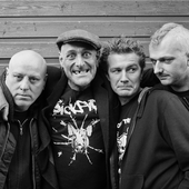 Punk English Dogs 2014