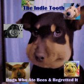 Dogs Who Ate Bees & Regretted It