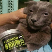 oatski 的头像