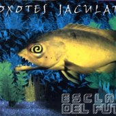 Toxotes Jaculator