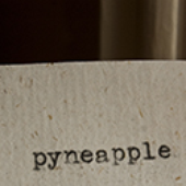 pyneapple 的头像