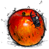 apple41