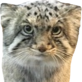 Avatar für lucas4evur