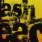 Flash Beach logo