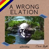 A Wrong Elation
