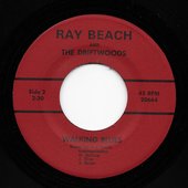 raybeach.jpg