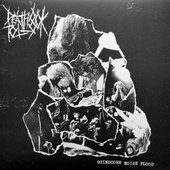 Grindcore Noise Flood