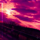 Forerunnerx - Memory Vision
