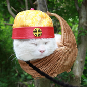 liamJmic 的头像