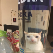 NahHeTweakin 的头像