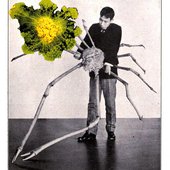 deepseaorganism.jpg