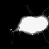 IMG_0424.jpeg