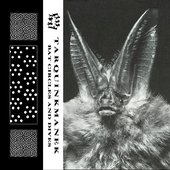 Bat Circles And Dives