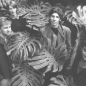 Crow (Australian band)
