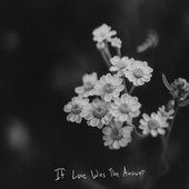 If Love Was the Answer
