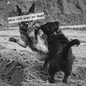kNauff - okay syd, now we fight.png