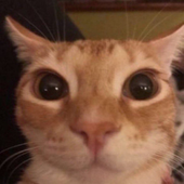 Avatar for pomaranczka7