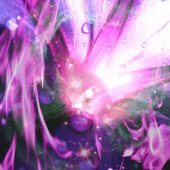 Flame Flower