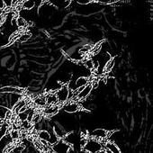 necroticrotting 的头像