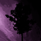 cover.png