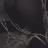 glockkitty.gif