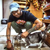 Kota_the_friend_in_a_bodega.jpg