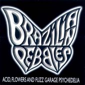 Brazilian Pebbles, Vol. 1 (Acid, Flowers and Fuzz Garage Psychedelia)