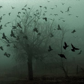 I'll run away