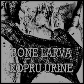 Kopru Urine