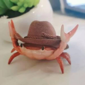 chompiii 的头像