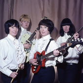 The Liverbirds
