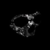Avatar for LambCG