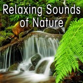 relaxing-sounds-of-nature.jpg