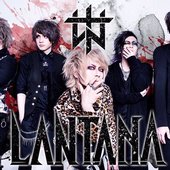 LANTANA.jpg