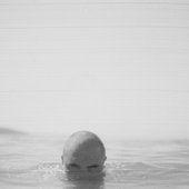 IMG_6317.jpg