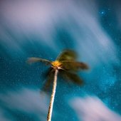 Meet Me in the Stars
