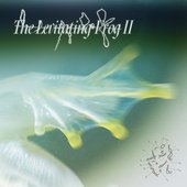 The Levitating Frog II