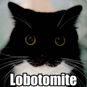 Avatar for motunwastaken