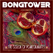 The Color of Pomegranates