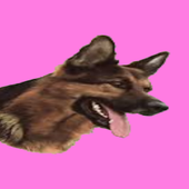 Avatar für gsd_jake