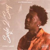 Safe 2 Say [Explicit]