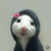 Teremmist 的头像