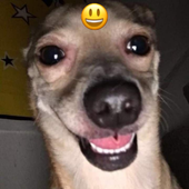 Аватар для ddlhsk