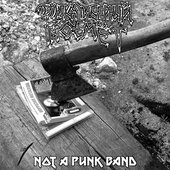 Not A Punk Band
