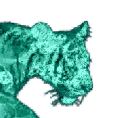 Avatar for TobyToby2